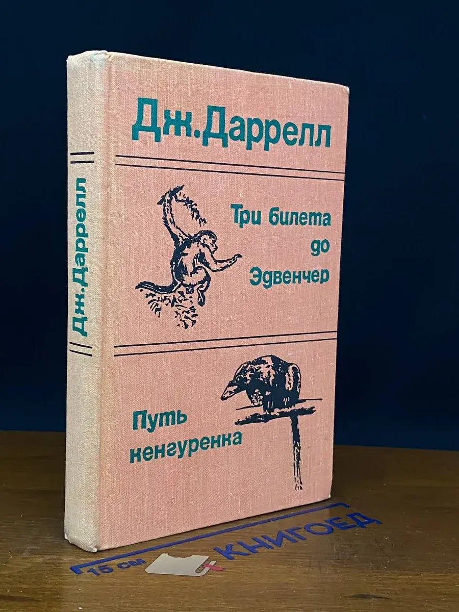 Три билета до Эдвенчер. Путь кенгуренка