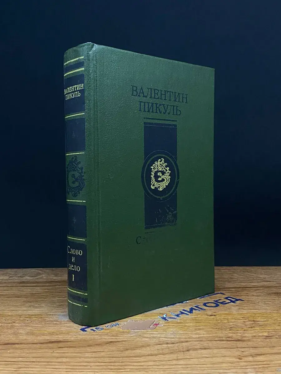 Слово и дело. Книга 1
