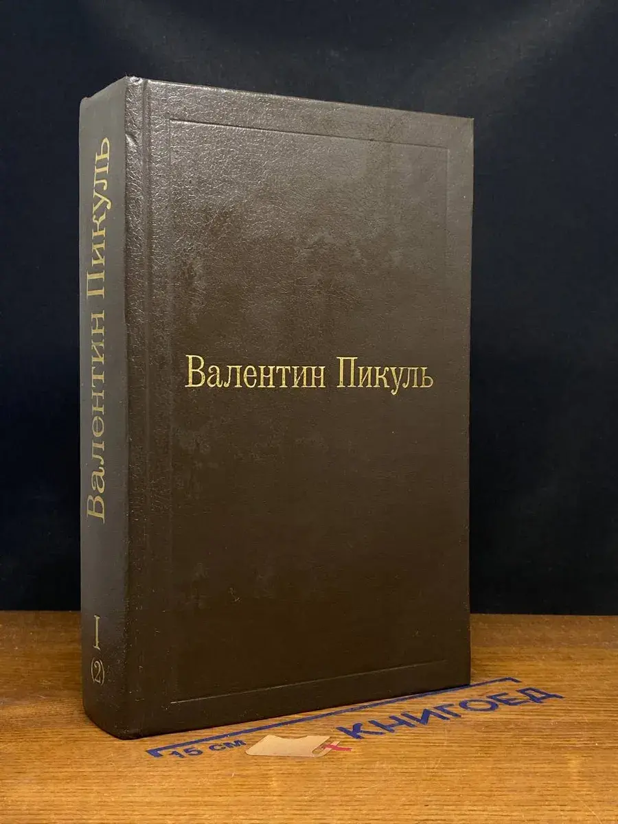 Слово и дело. Том 1. Книга 2