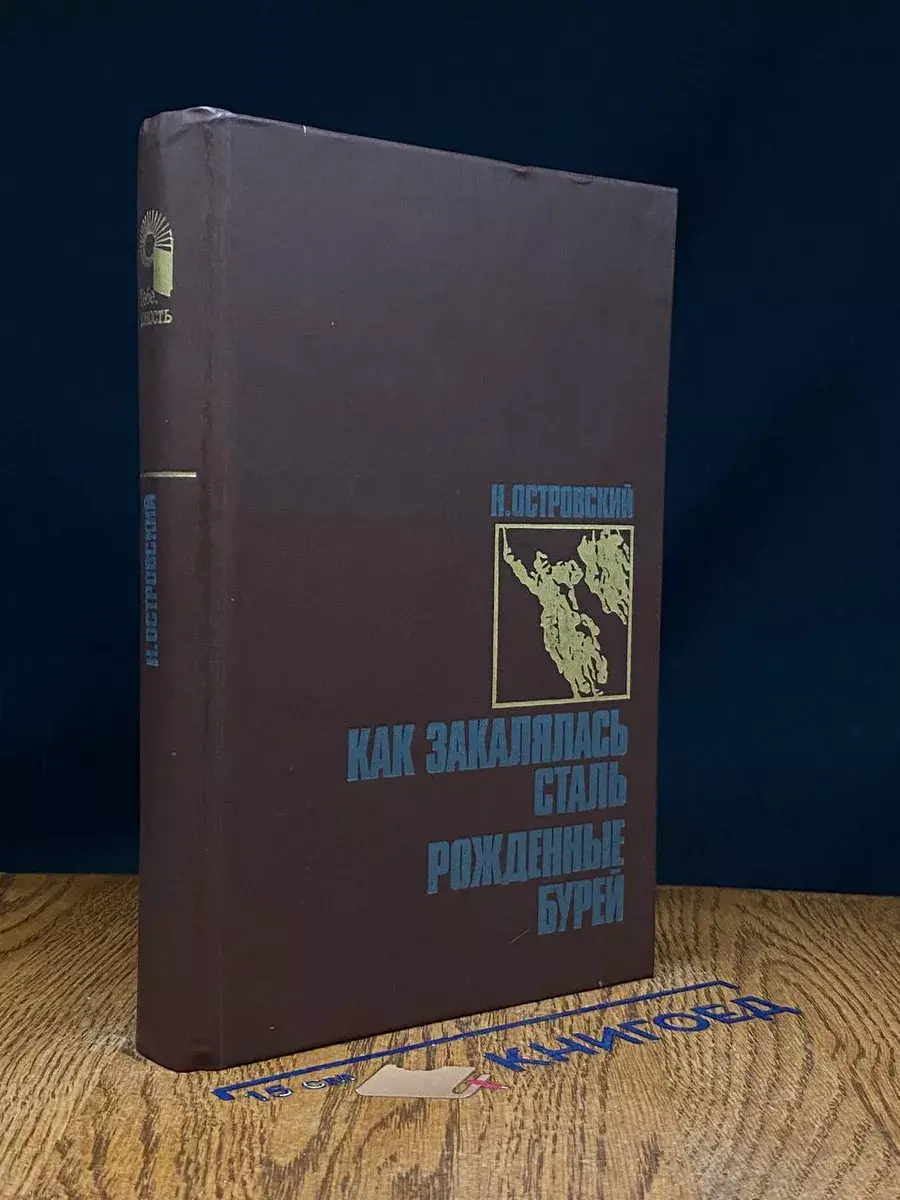 Как закалялась сталь. Рожденные бурей