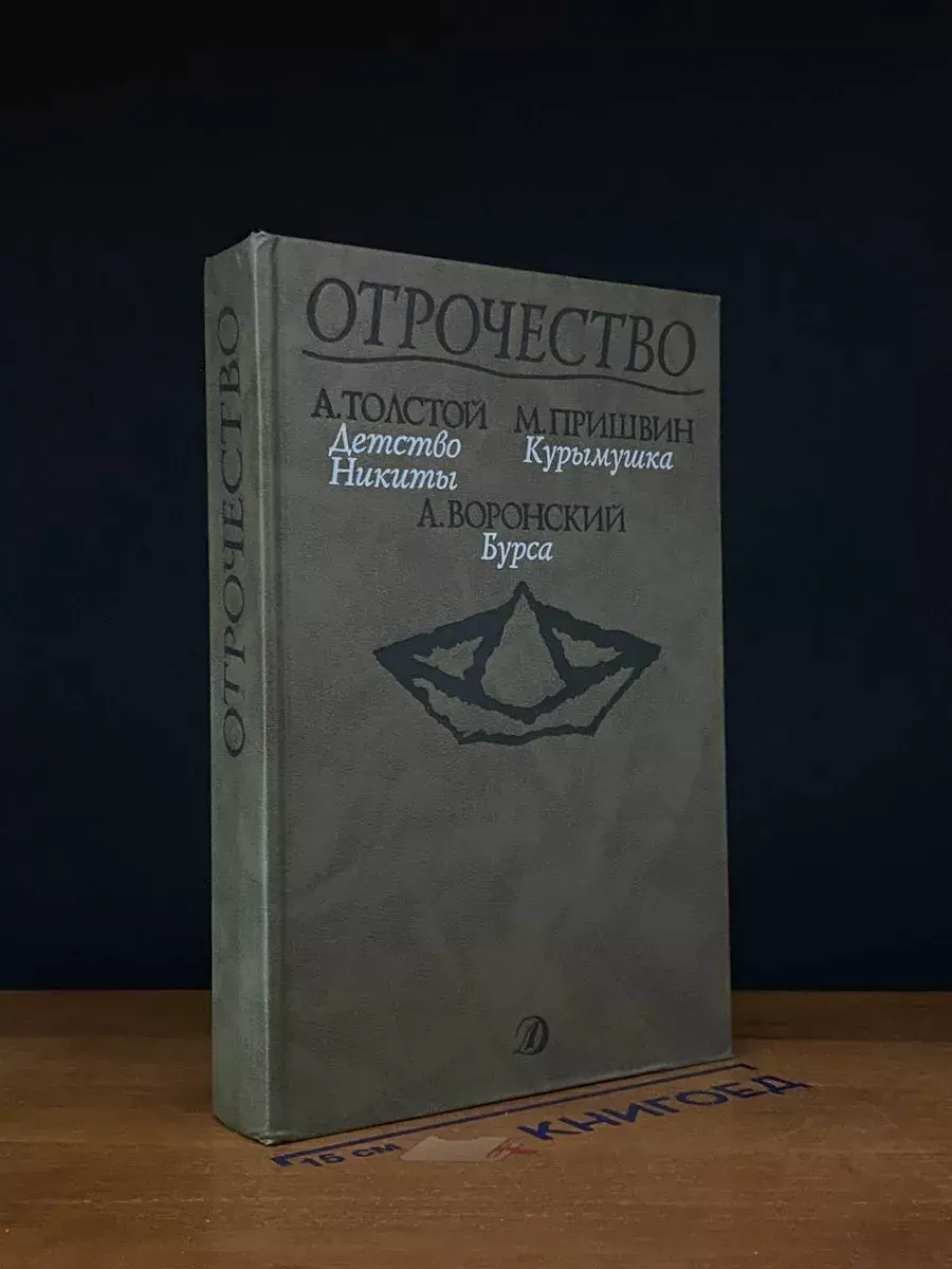 Детство Никиты. Курымушка. Бурса