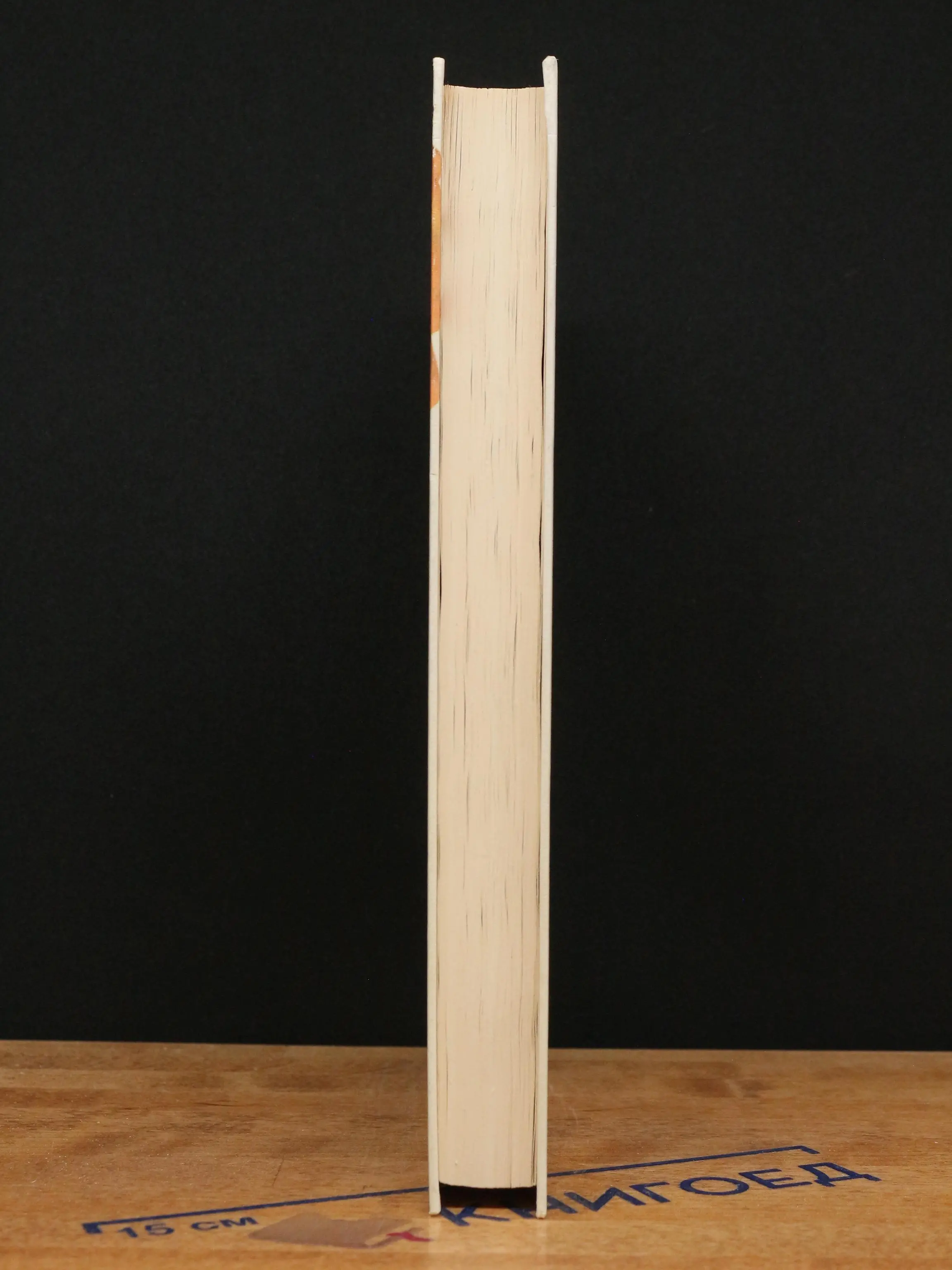 Фото 5