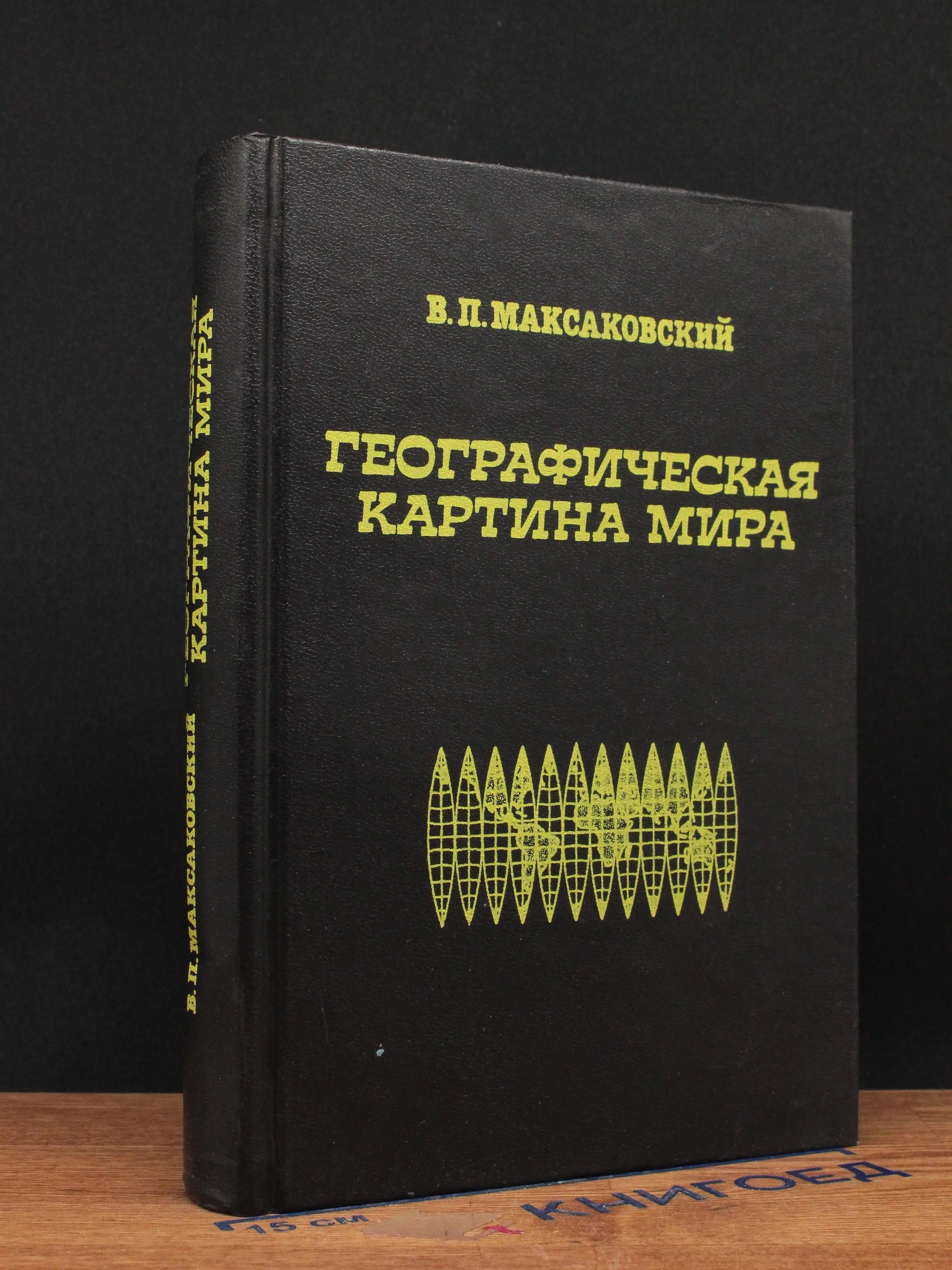 Географическая картина мира. 10 класс. Часть 2