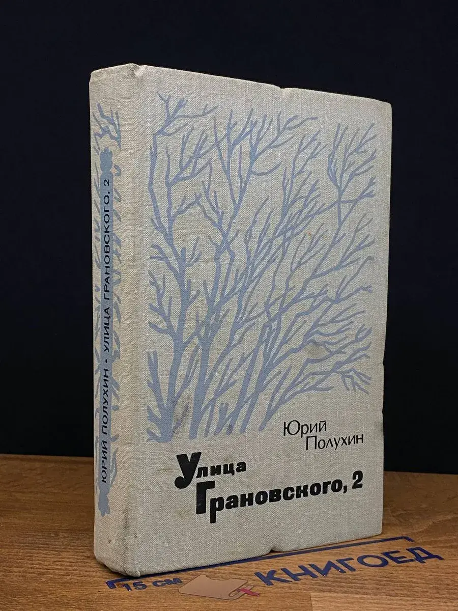 Улица Грановского, 2
