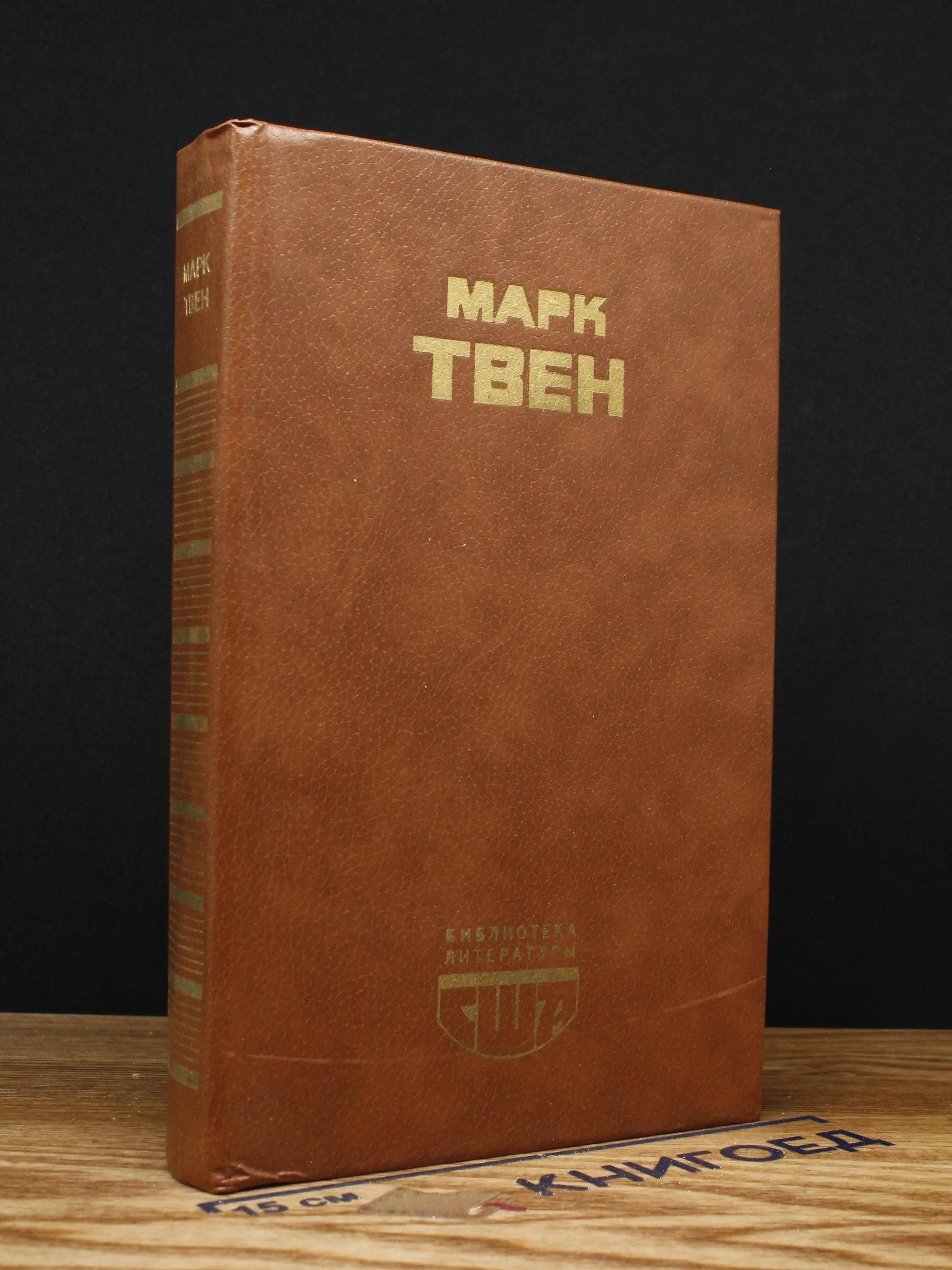 Приключения Гекльберри Финна