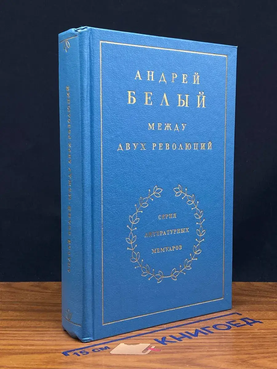 Андрей Белый. Между двух революций. Книга 3