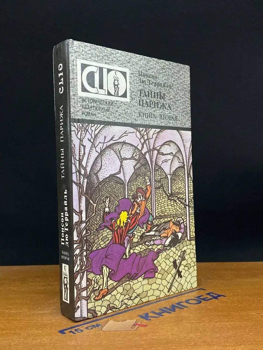 Тайны Парижа. В двух книгах. Книга 2