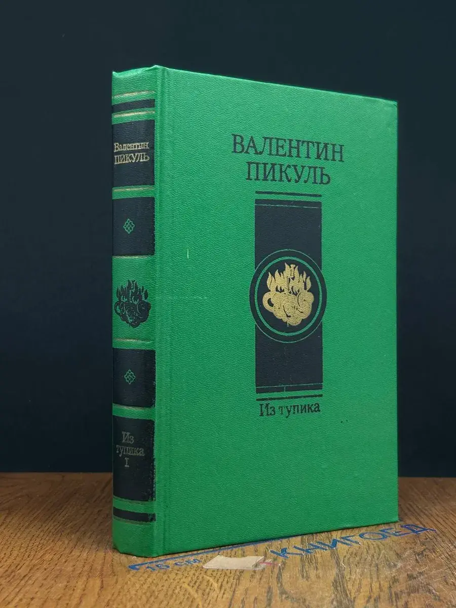 Из тупика. В 2 томах. Том 1. Проникновение