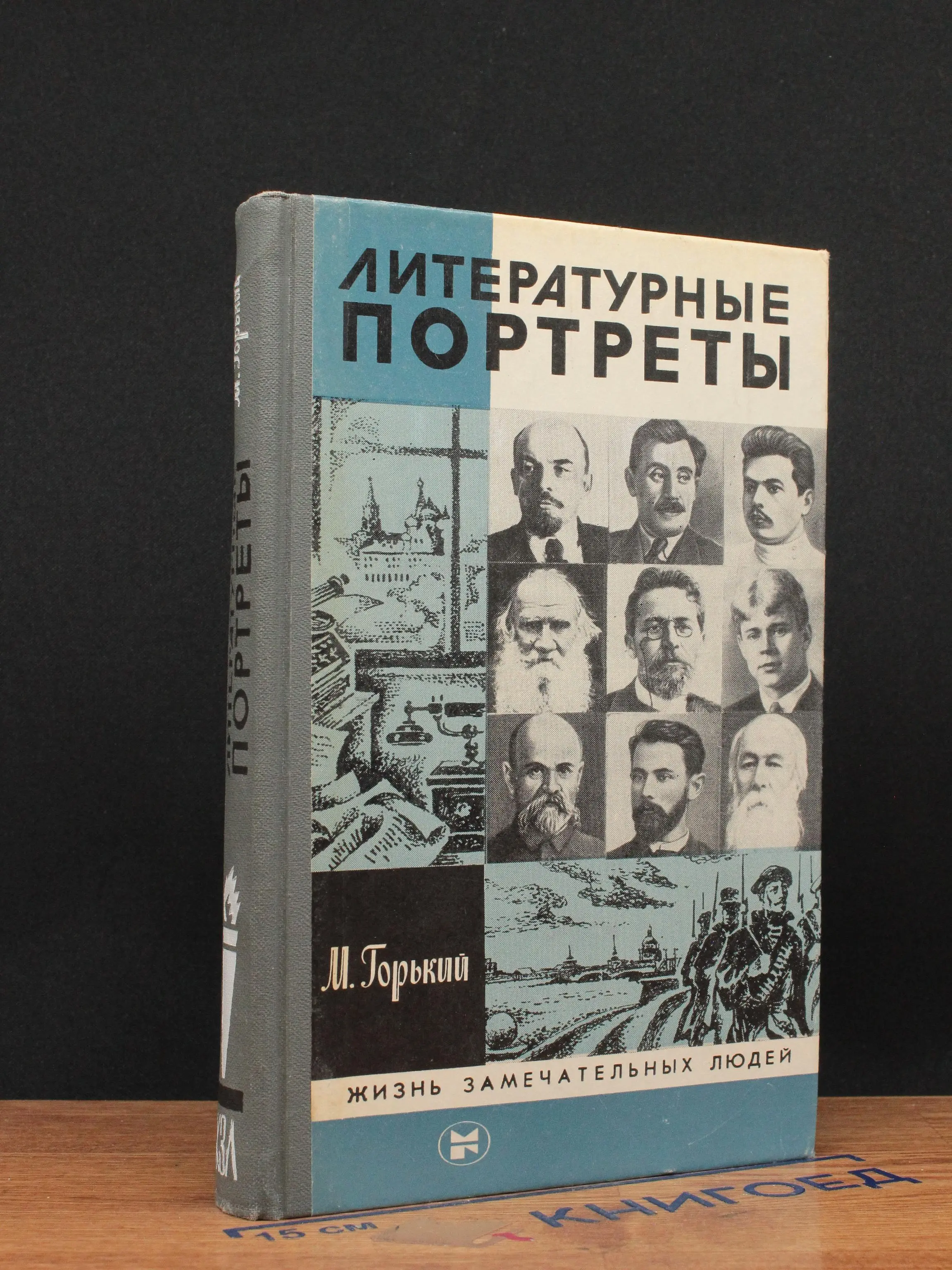 Литературные портреты