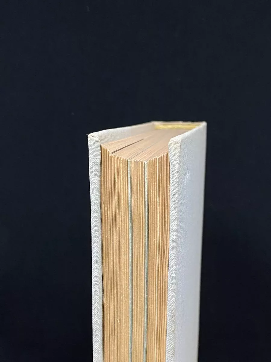 Фото 6