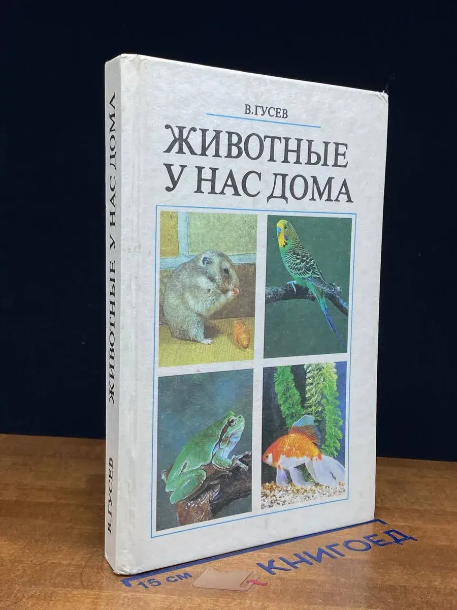 Животные у нас дома