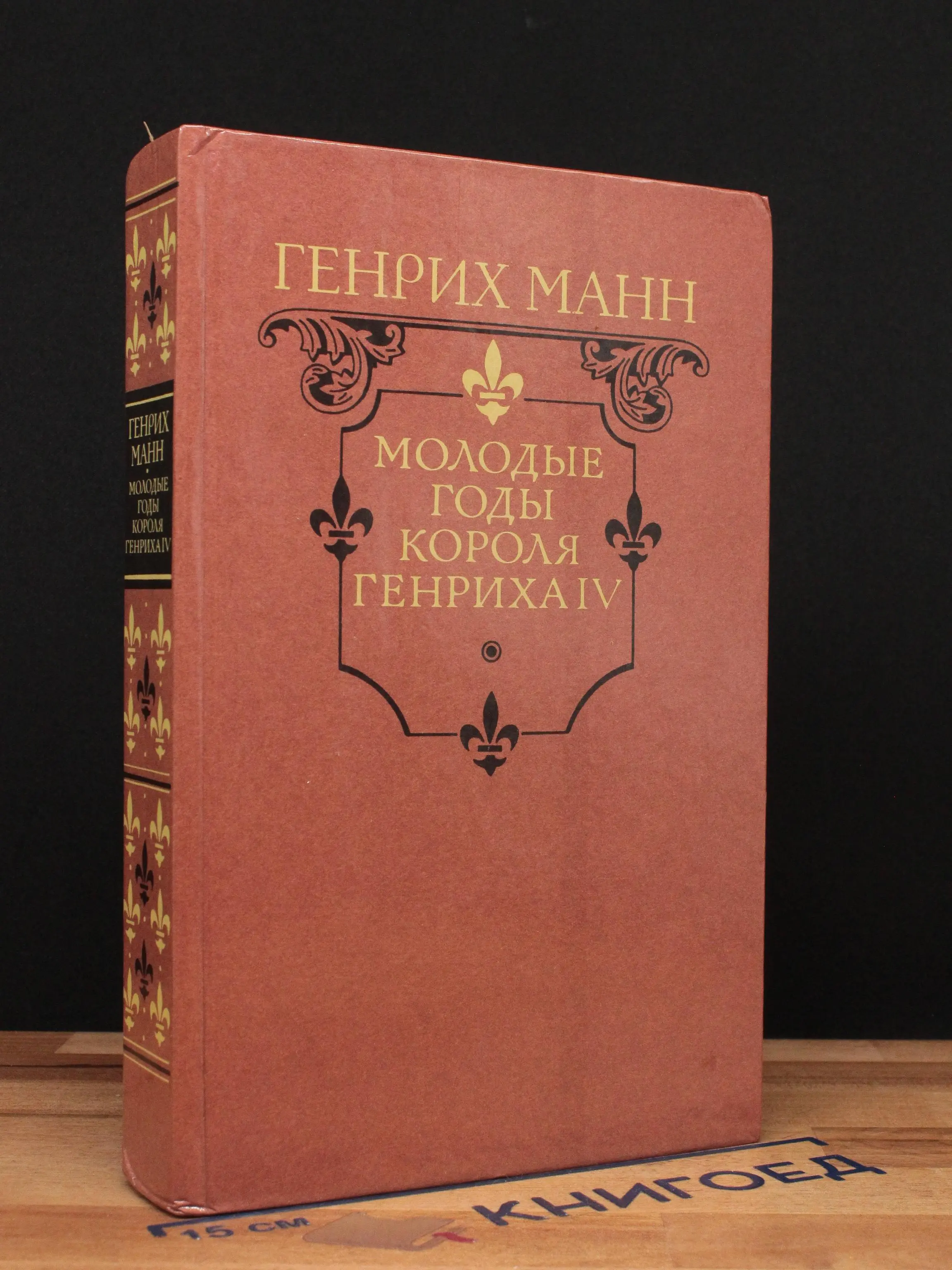 Молодые годы короля Генриха IV