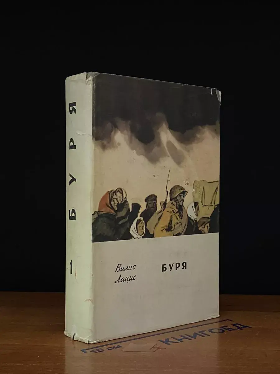 Буря. Том 1