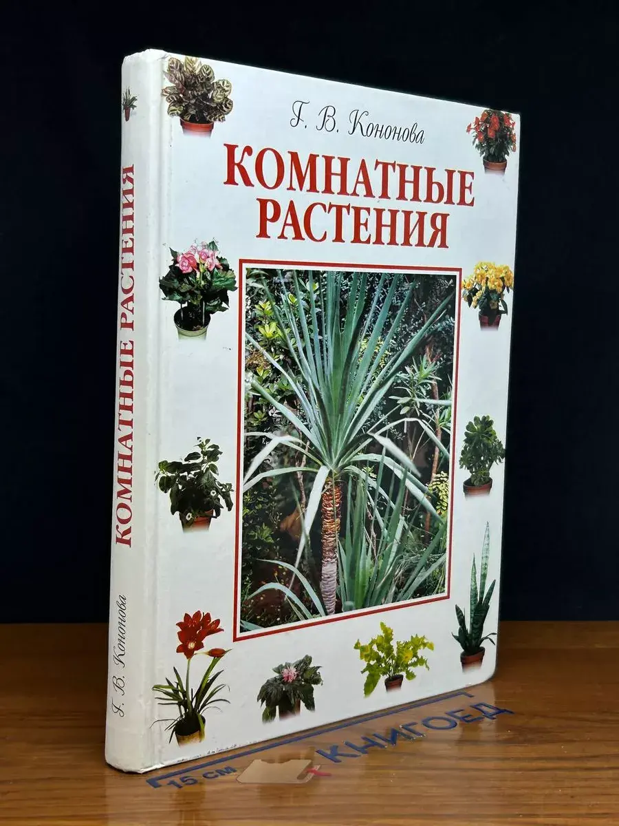 Комнатные растения