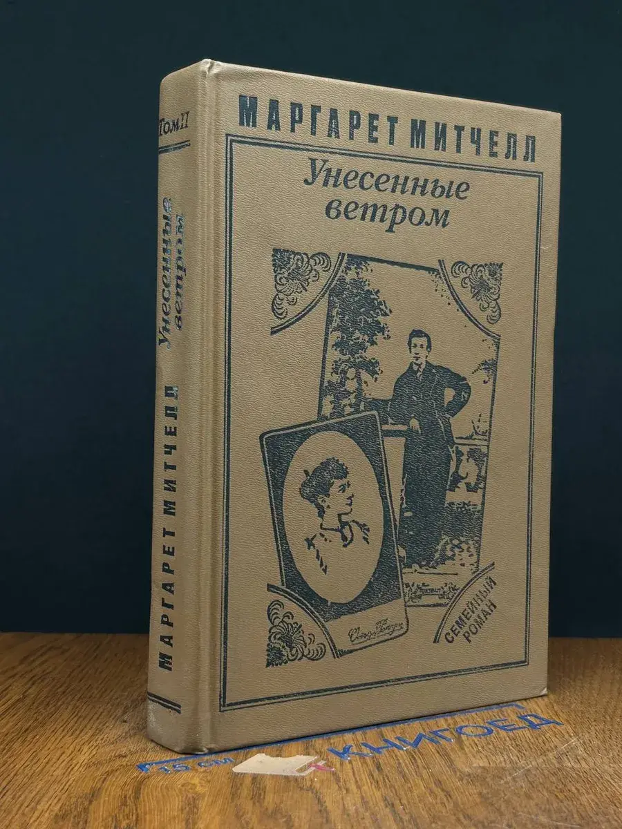 Унесенные ветром. Том 2