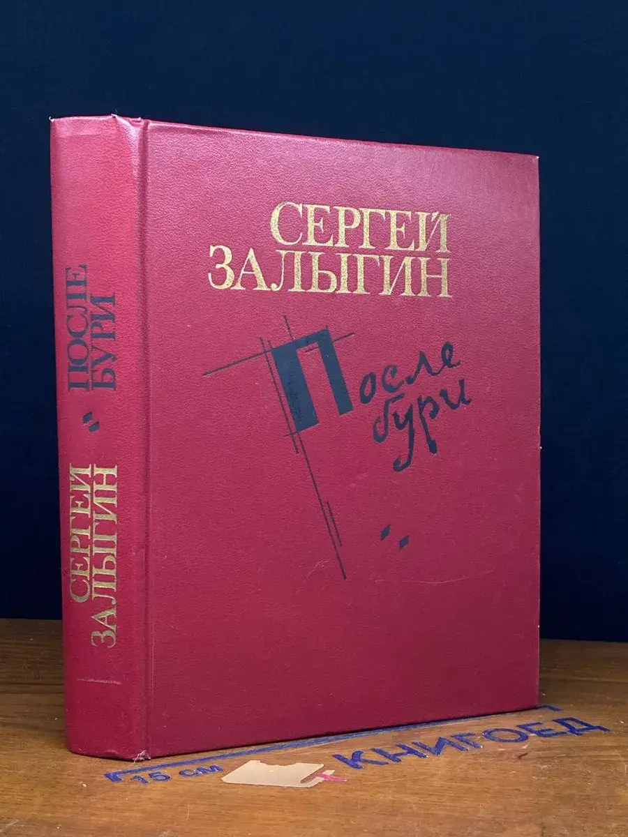 После бури. Книга 2