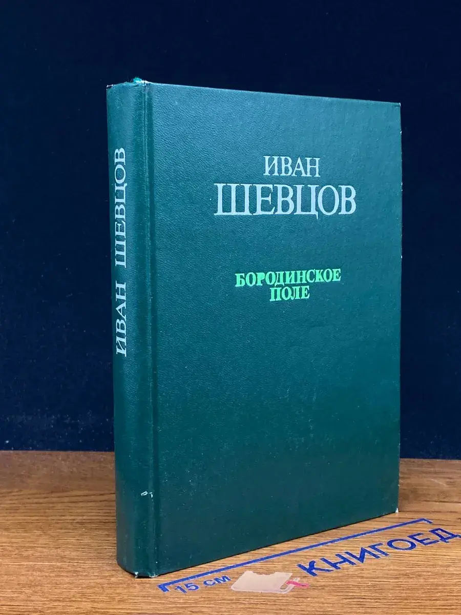 Бородинское поле