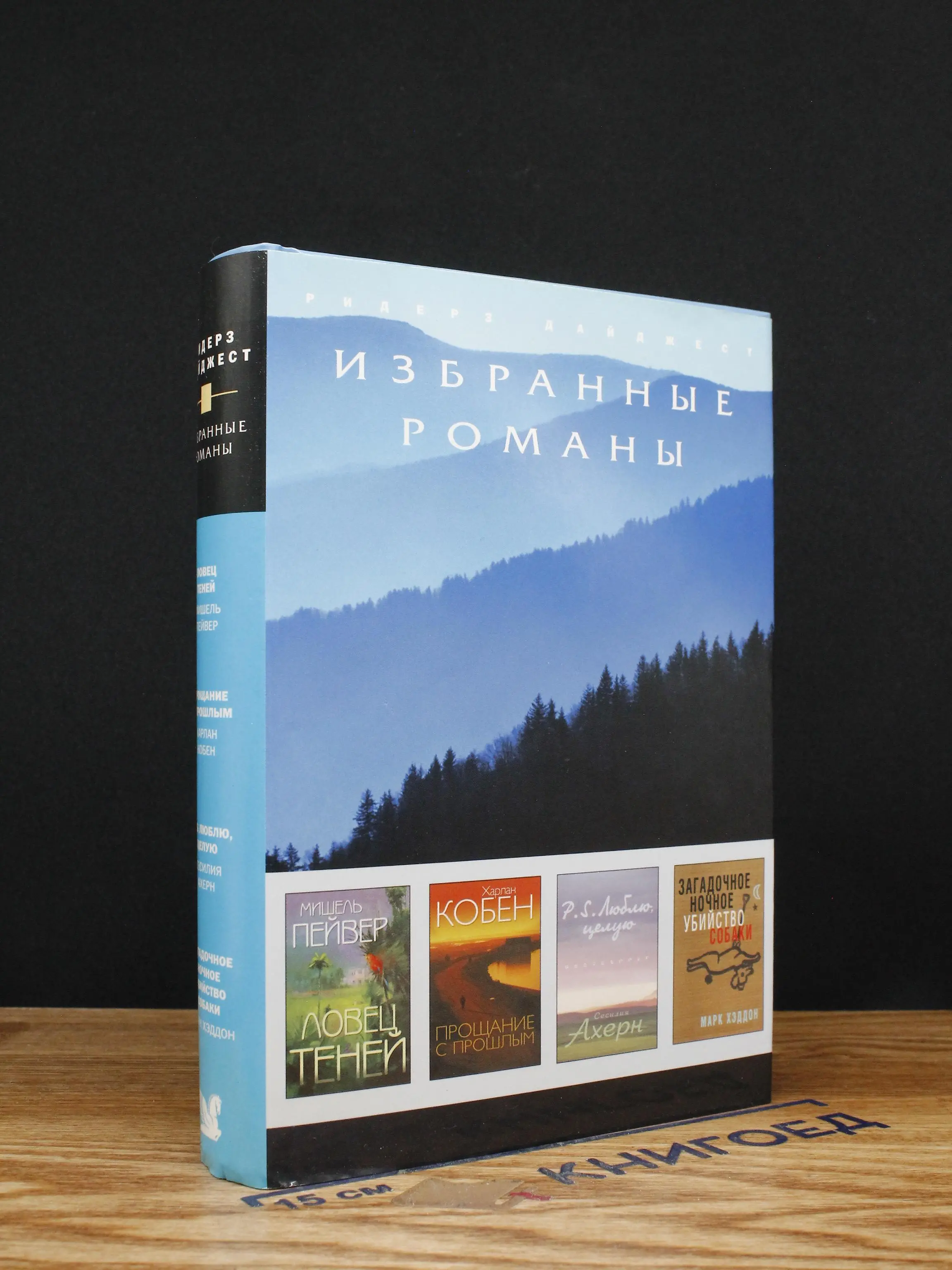Ловец теней. Прощание с прошлым