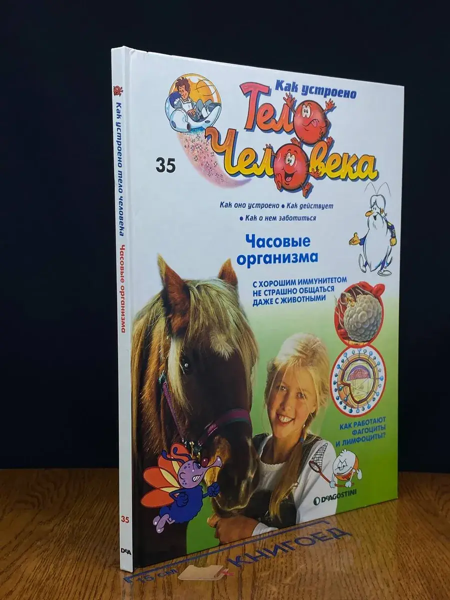 Как устроено тело человека. Выпуск 35. Часовые организма