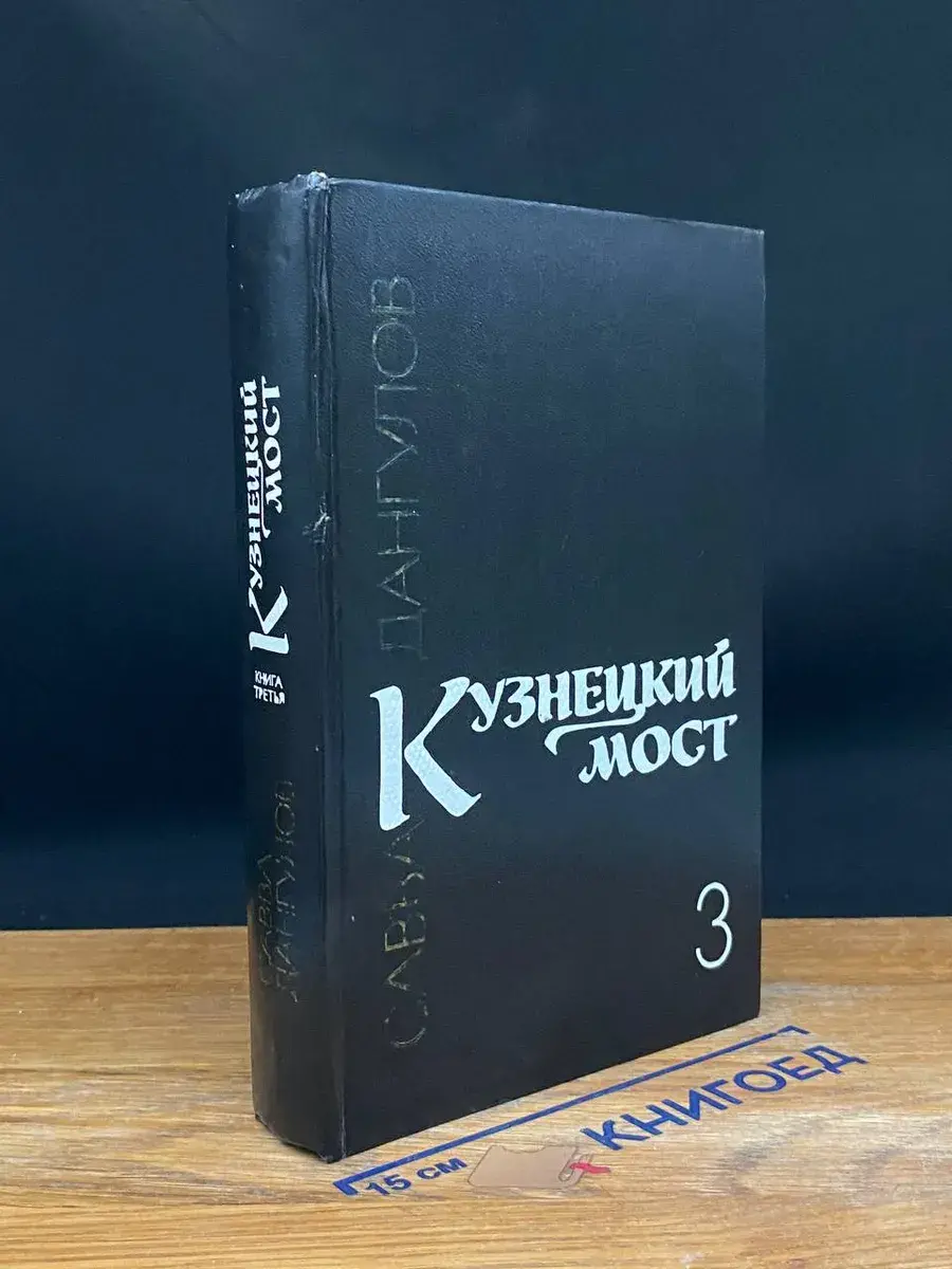 Кузнецкий мост. Книга 3