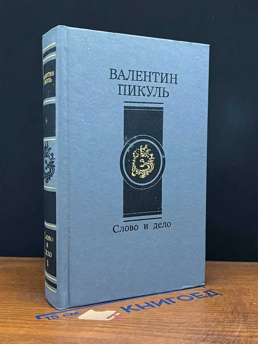 Слово и дело. Книга 1