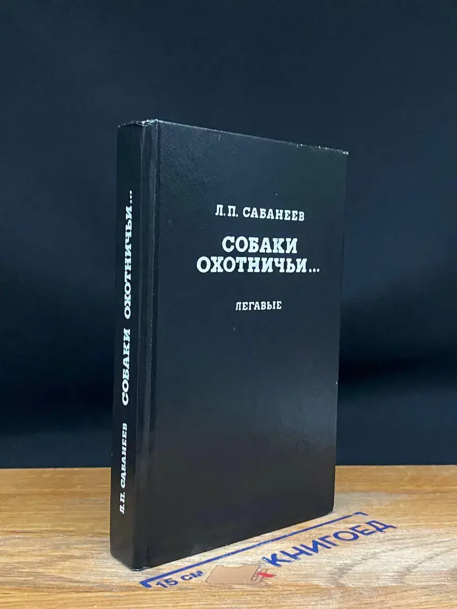 Собаки охотничьи. Легавые
