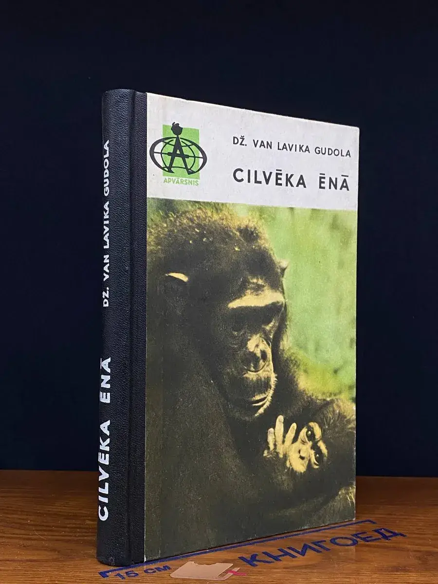 Cilveka Ena