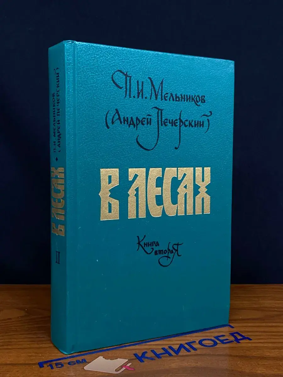 В лесах. Книга 2