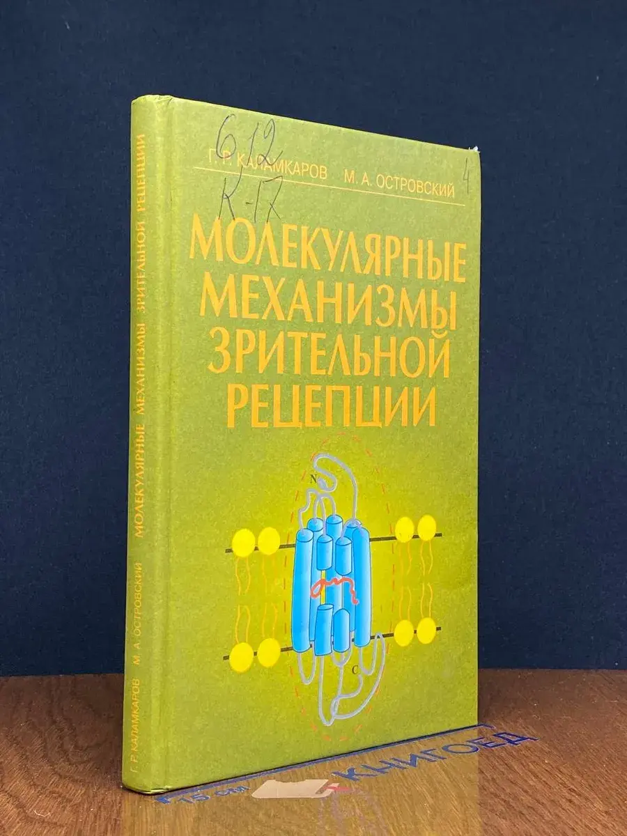 Молекулярные механизмы зрительной рецепции
