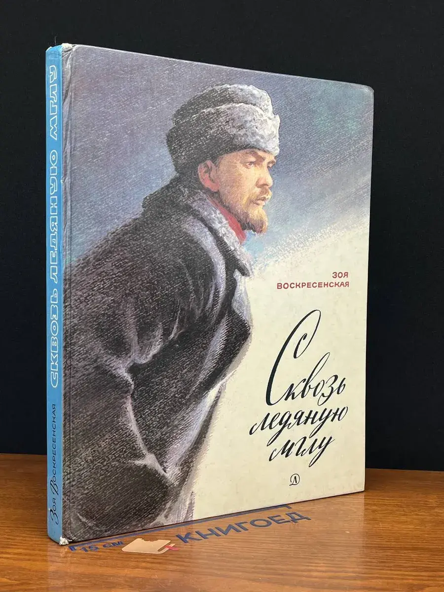Сквозь ледяную мглу