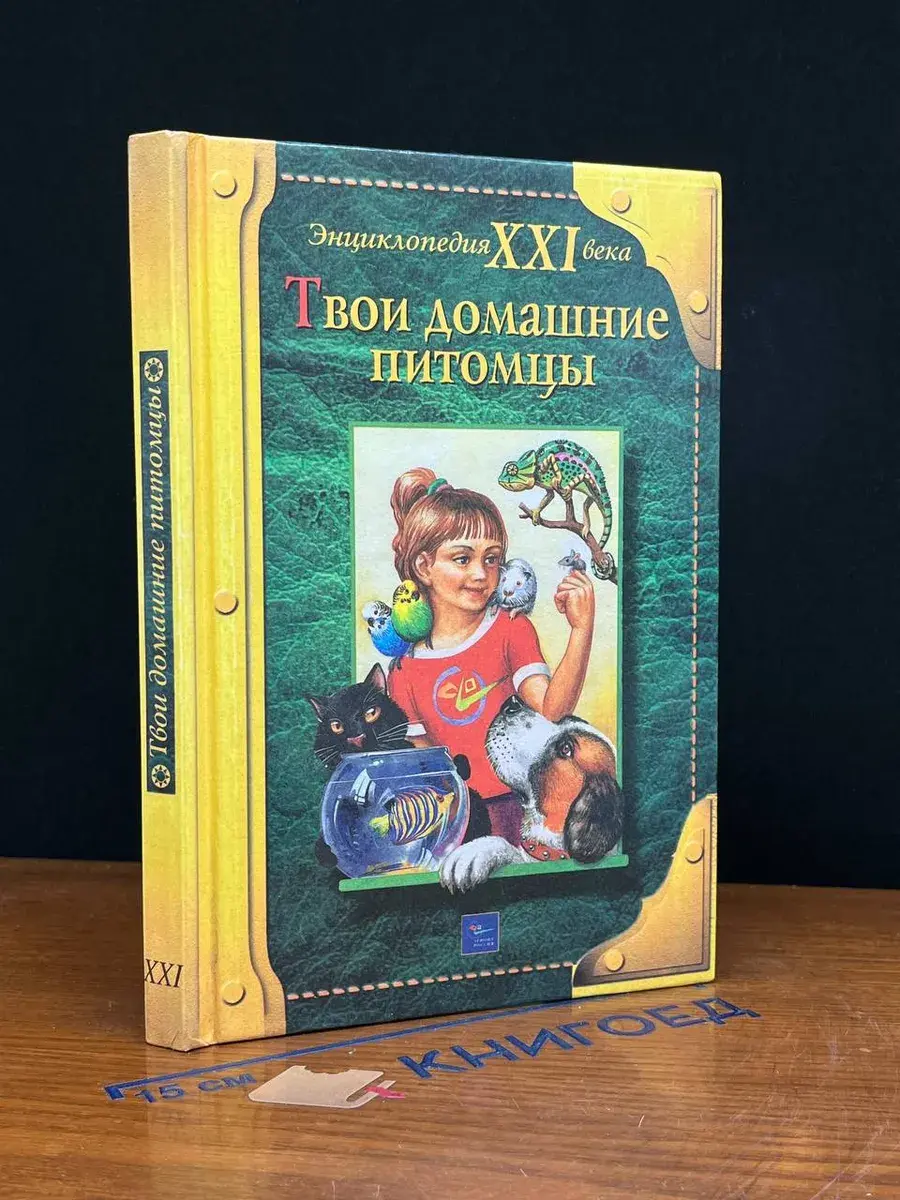 Твои домашние питомцы