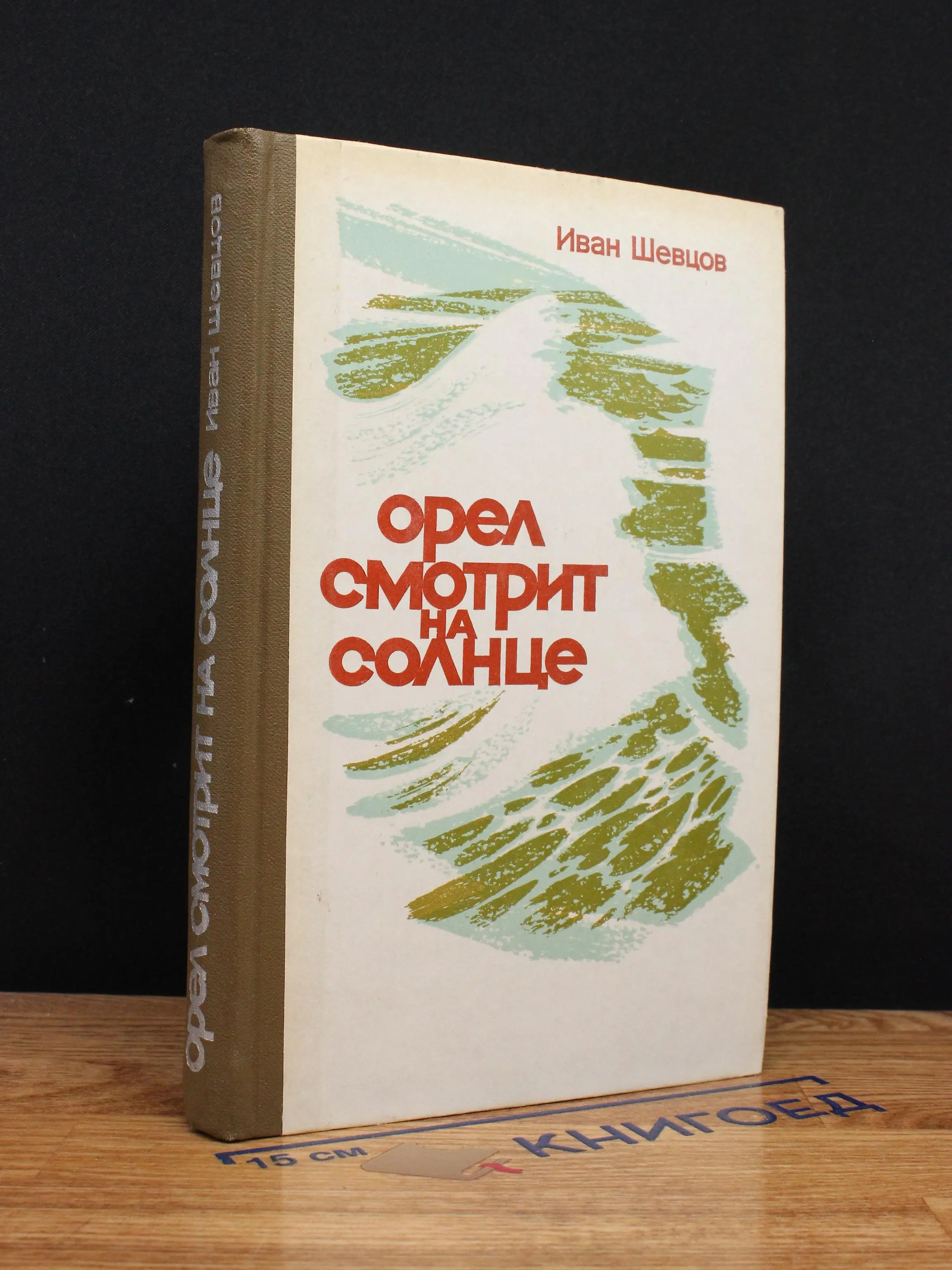 Орел смотрит на солнце