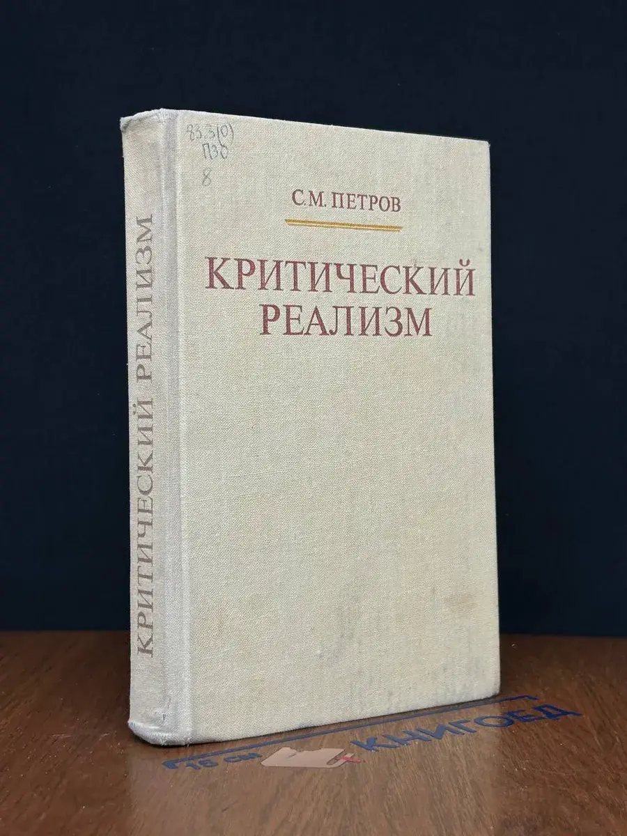 Критический реализм