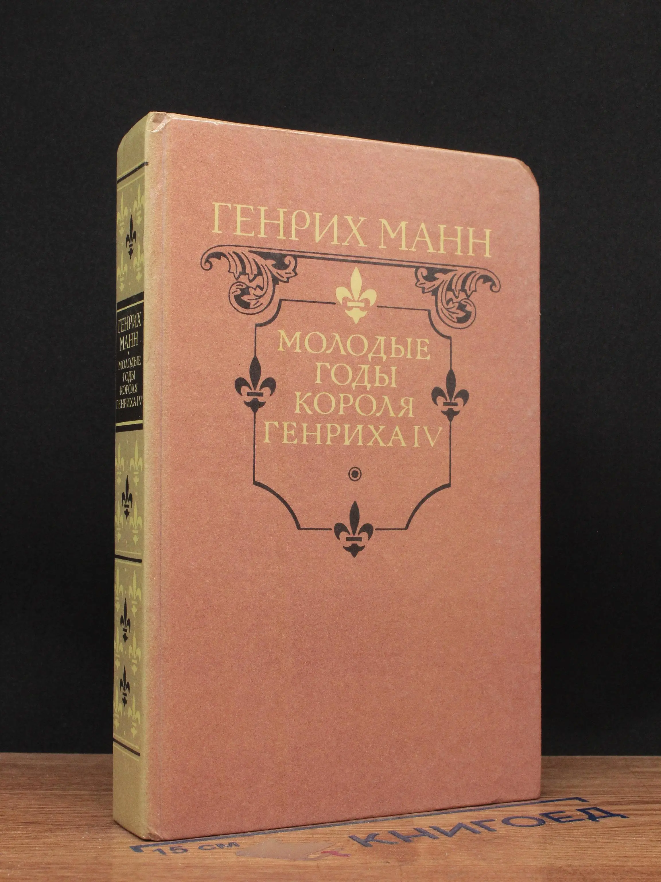 Молодые годы короля Генриха IV
