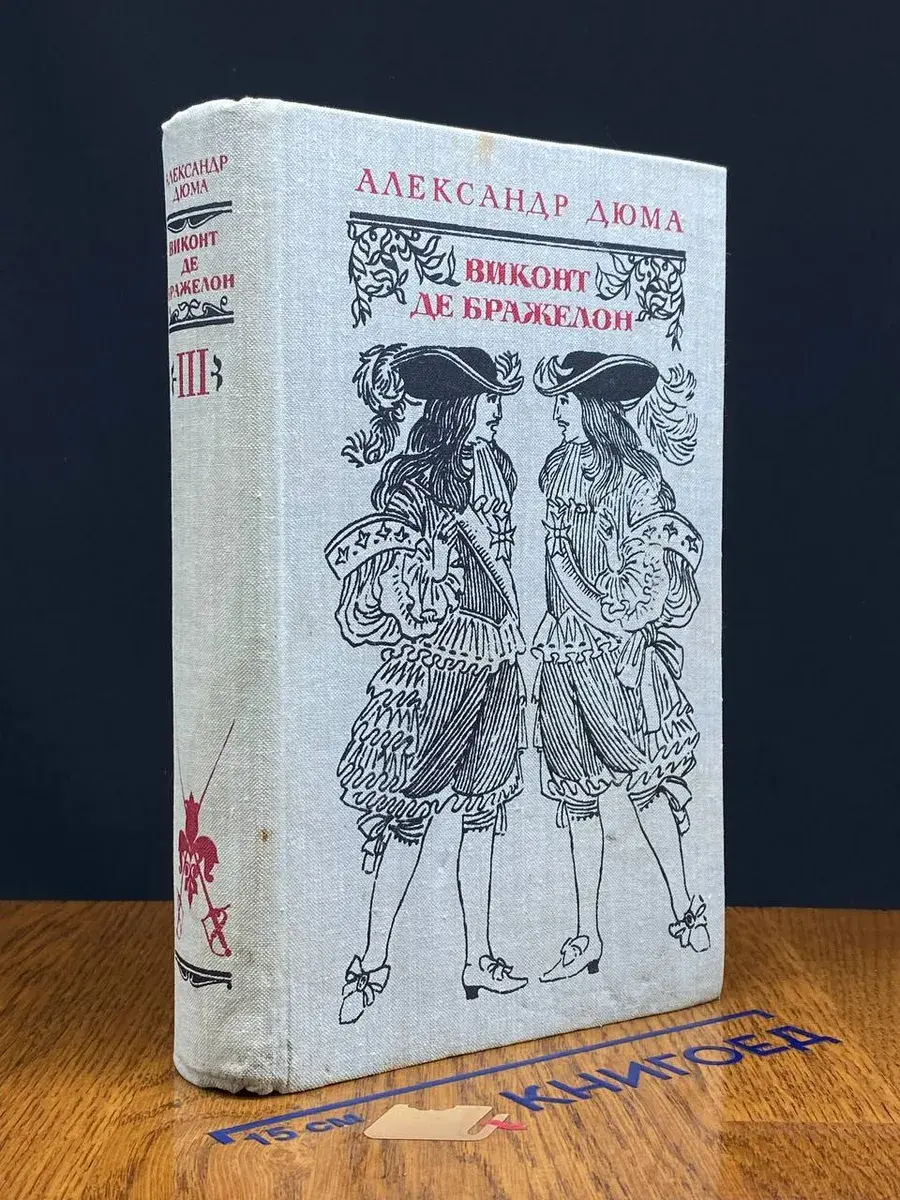 Виконт де Бражелон, или Десять лет спустя. Том 3