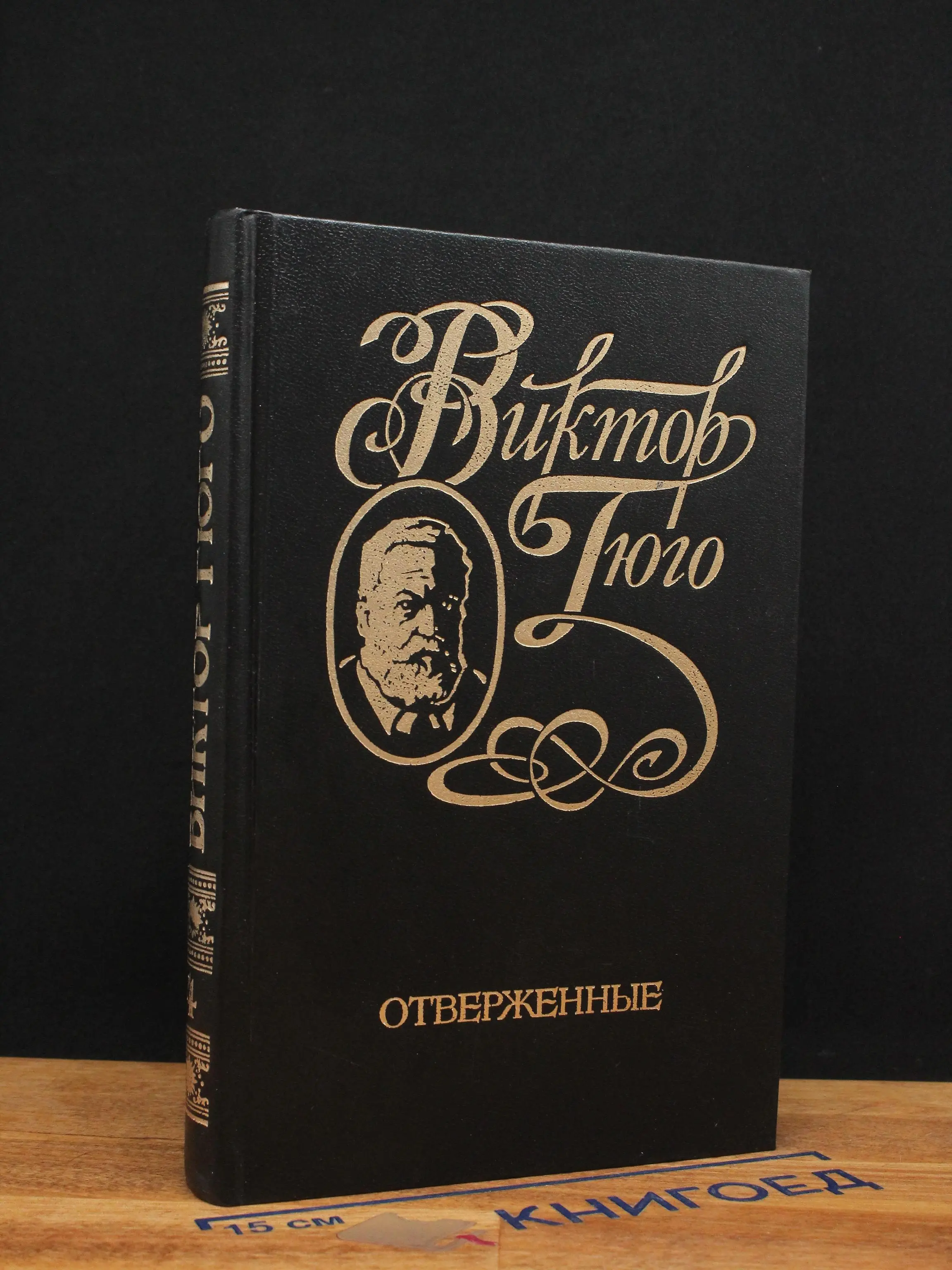 Виктор Гюго. Том 4