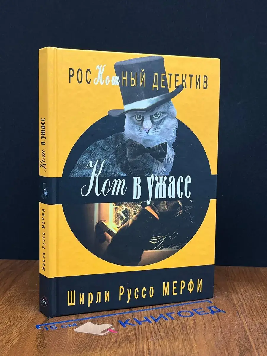Кот в ужасе