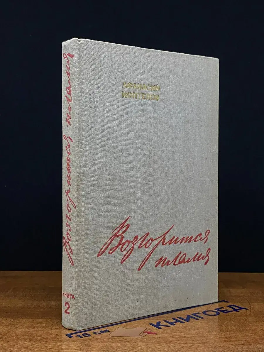 Возгорится пламя. Книга 2