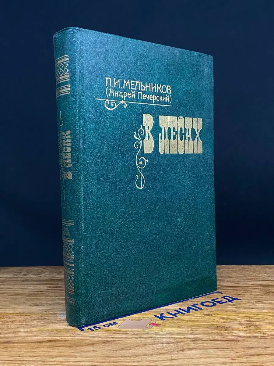 В лесах. В двух книгах. Книга 1