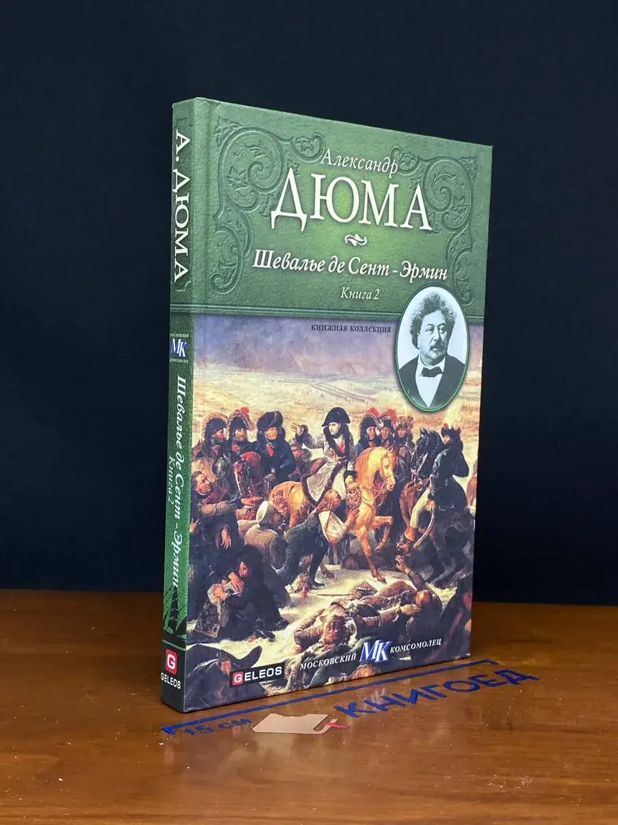 Шевалье де Сент-Эрмин. Книга 2