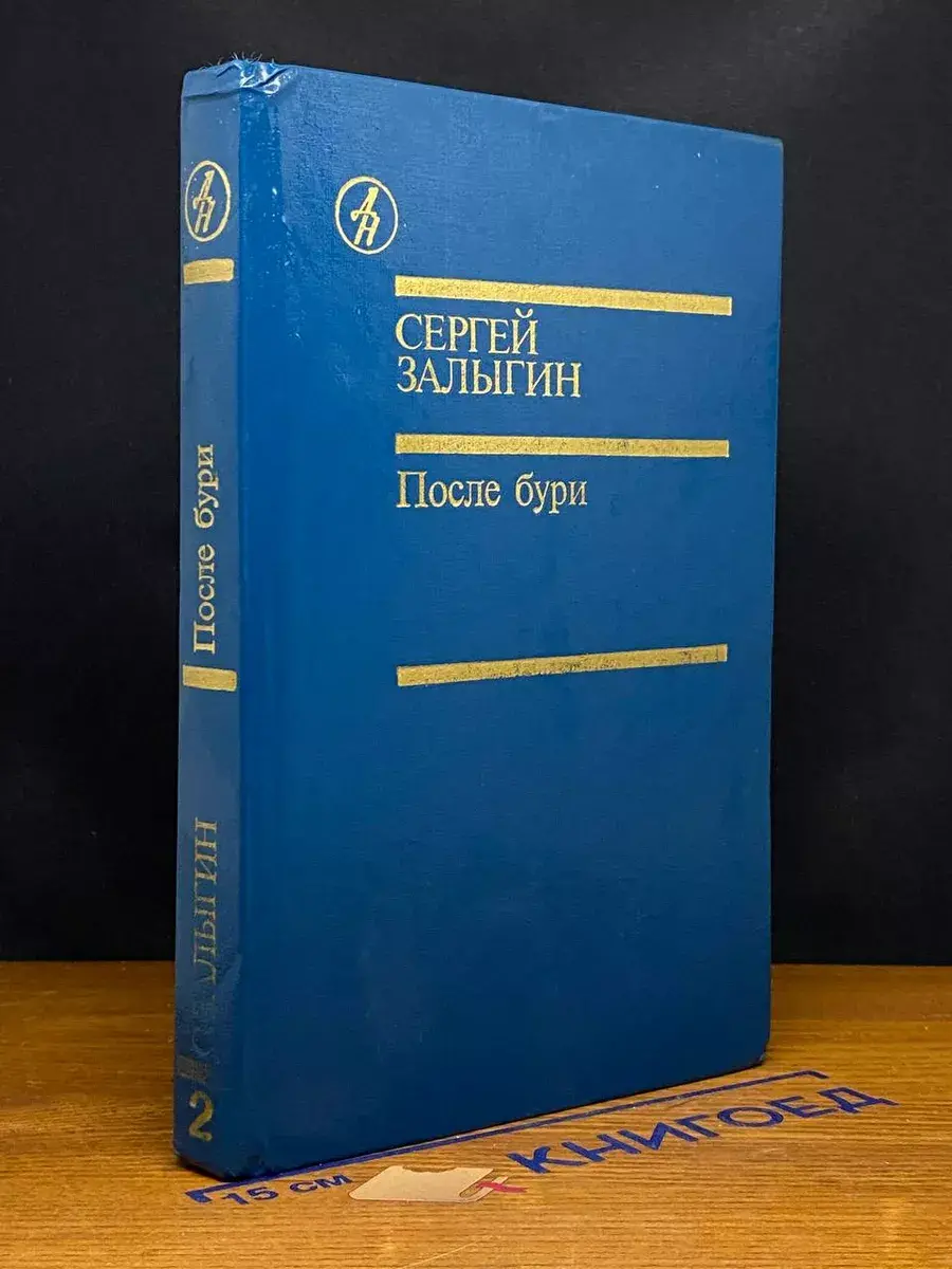 После бури. Книга 2