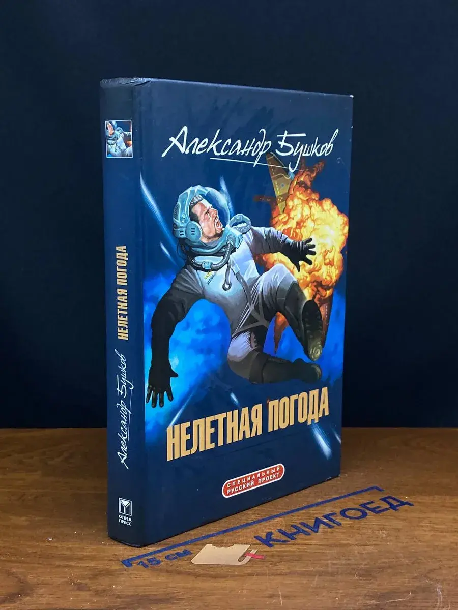 Нелетная погода