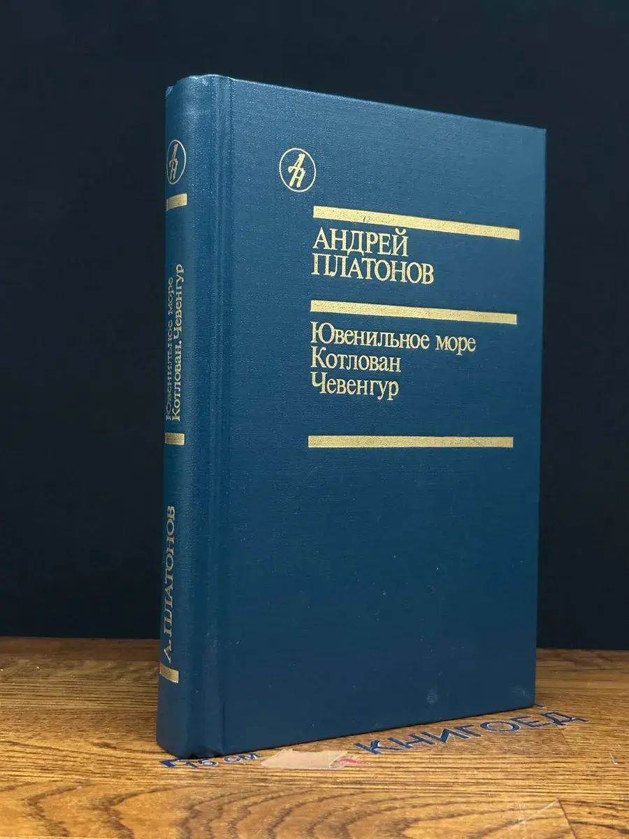 Ювенильное море. Котлован. Чевенгур