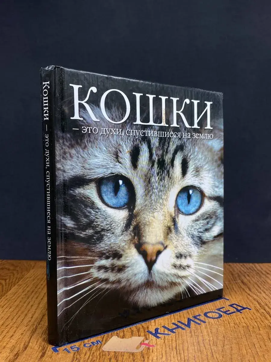 Кошки - это духи, спустившиеся на землю
