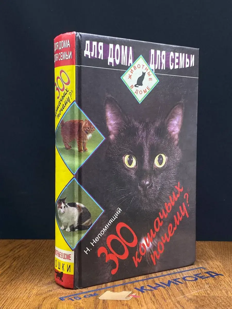 300 кошачьих почему