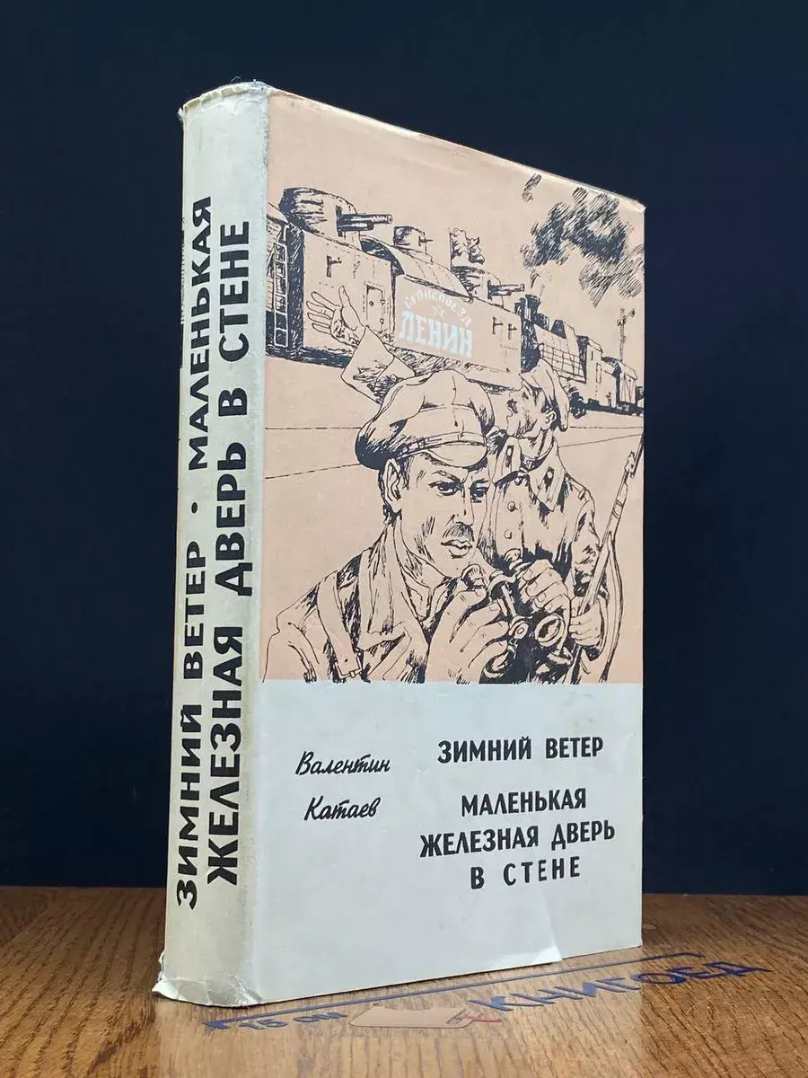 Зимний ветер. Маленькая железная дверь в стене