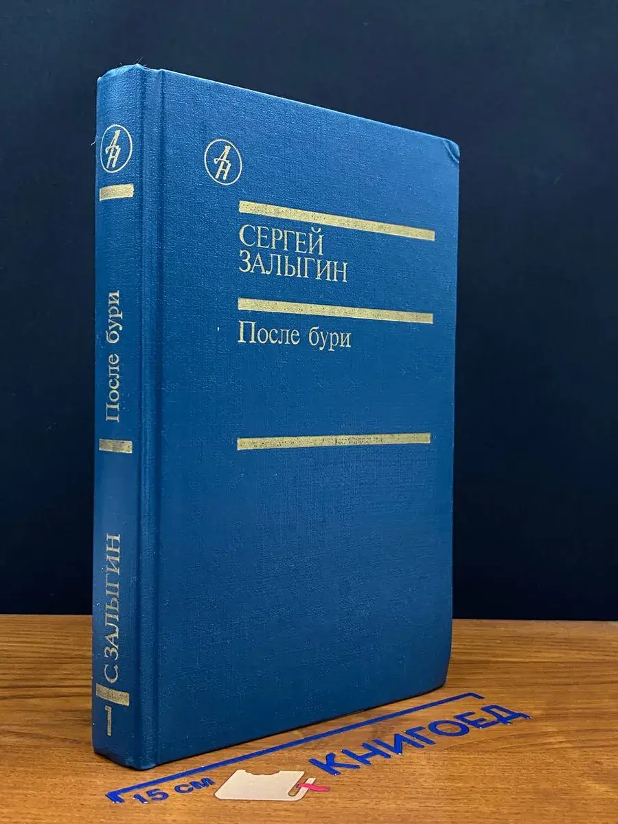 После бури. Книга первая