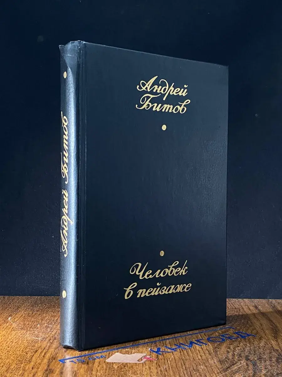 Человек в пейзаже