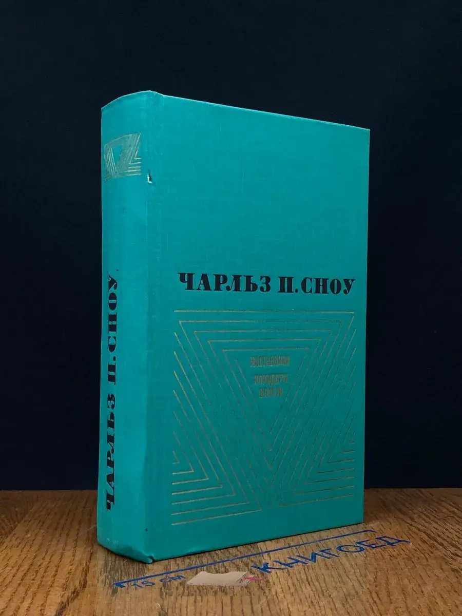 Наставники. Коридоры власти
