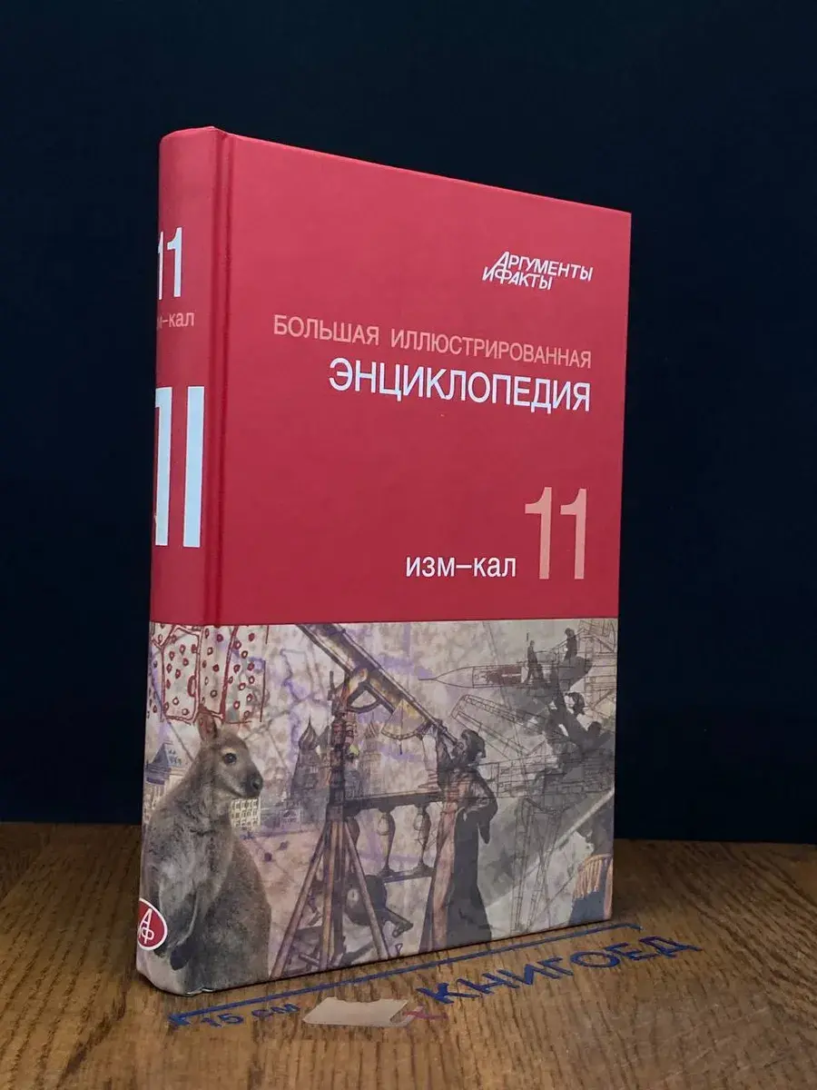 Большая Иллюстрированная энциклопедия. Том 11